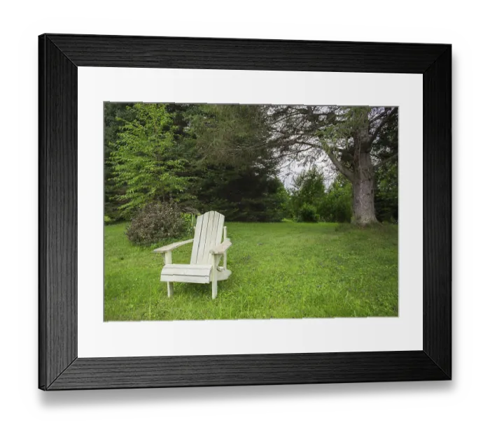 Framed Print : Pale green adirondack chair in pine forest Framed Print : Pale green adirondack chair in pine forest