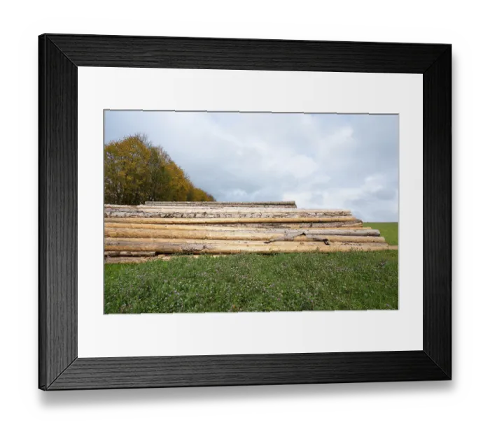 Framed Print : Chopped tree logs pilled up next to a forest