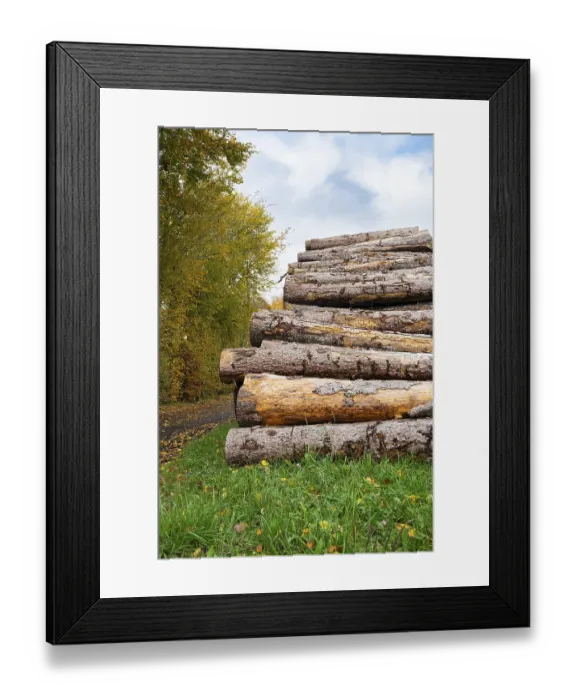 Framed Print : Chopped tree logs pilled up next to a forest Framed Print : Chopped tree logs pilled up next to a forest