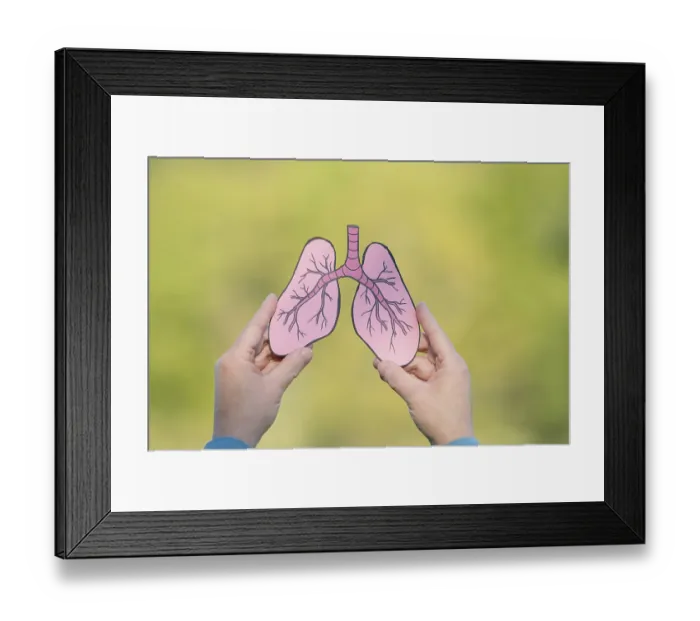 Framed Print : Human lung in front of forest, trees for fresh healthy breathing air Framed Print : Human lung in front of forest, trees for fresh healthy breathing air