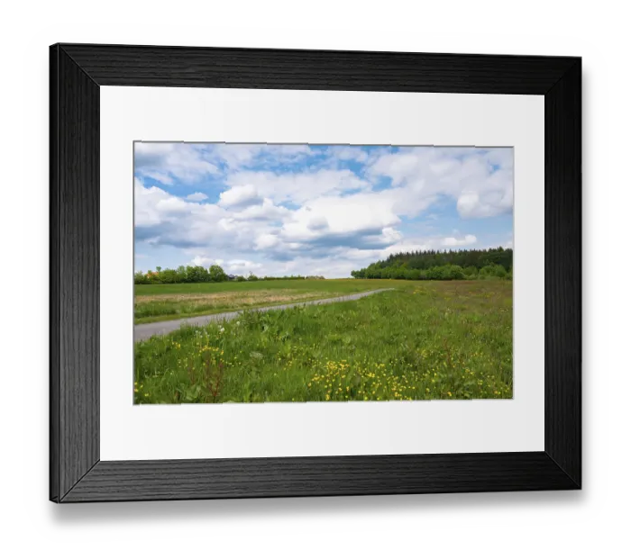 Framed Print : Road through meadow, field and forest in spring Framed Print : Road through meadow, field and forest in spring