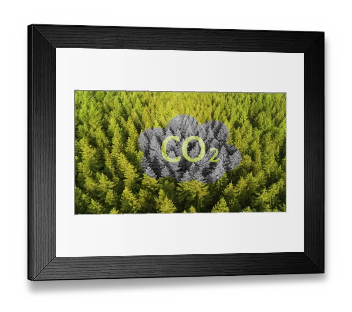 Framed Print : Forest and co2 greenhouse emissions