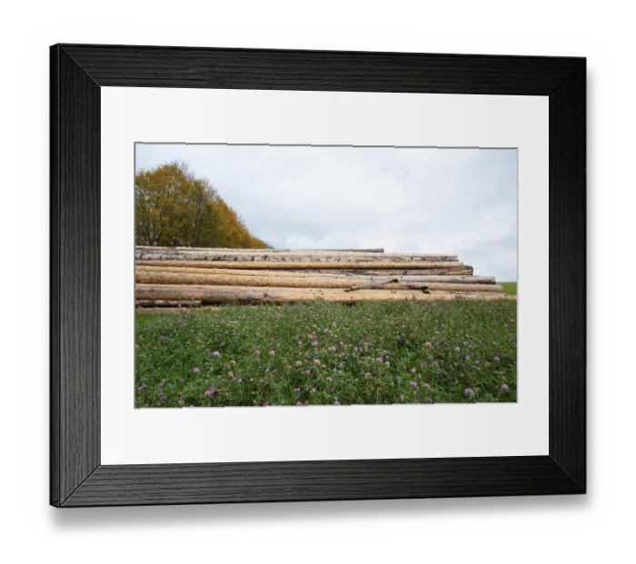 Framed Print : Lumber wood industry, environmental Framed Print : Lumber wood industry, environmental