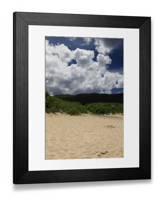 Framed Print : Green bush on top of a sand dune overlooked by mountain Framed Print : Green bush on top of a sand dune overlooked by mountain