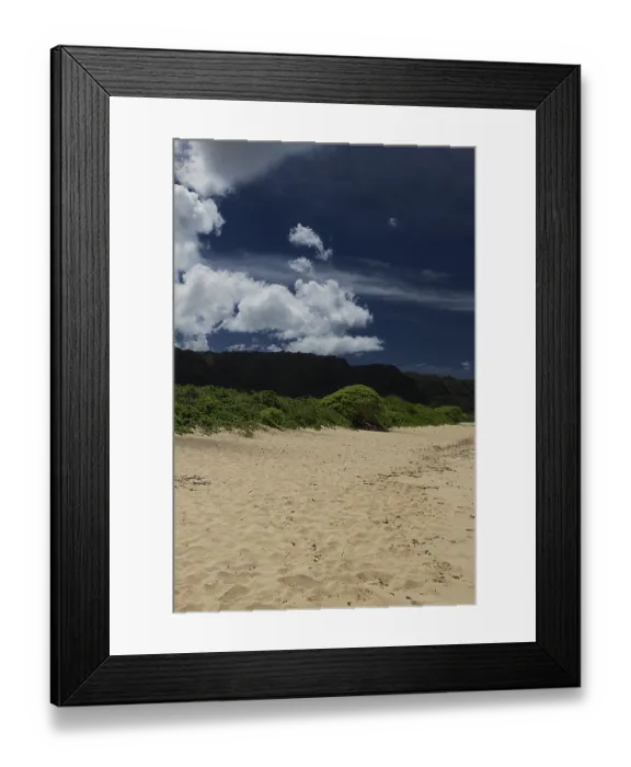 Framed Print : Green bush on top of a sand dune overlooked by mountain Framed Print : Green bush on top of a sand dune overlooked by mountain