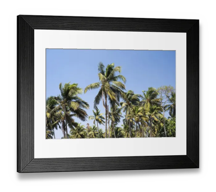 Framed Print : Palm trees on the beach in Goa