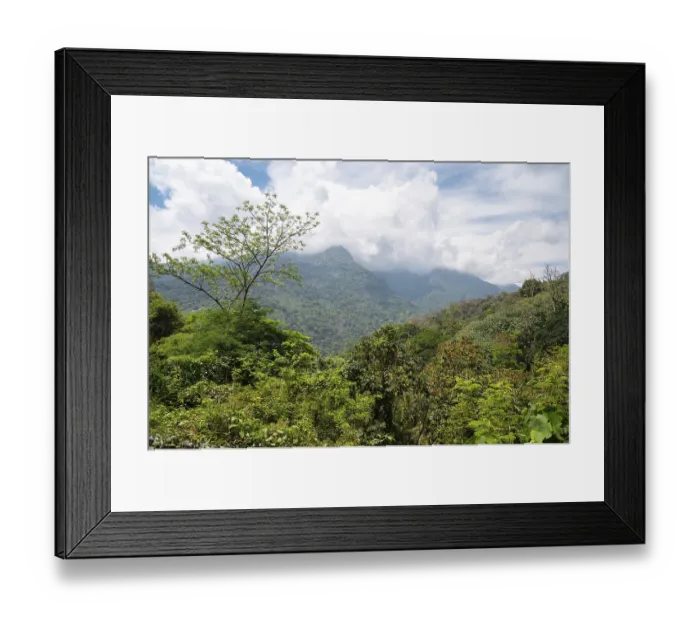 Framed Print : Landscape near Ooty Coimbatore