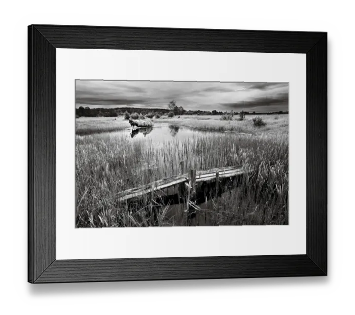 Framed Print : B / w colored landscape, meadow, stream