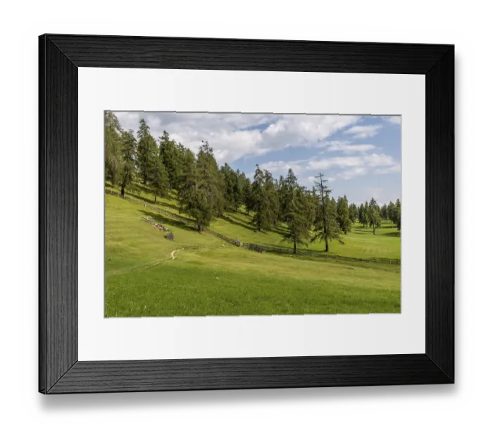 Framed Print : Wide alpine meadows with larch forest and fences on the Salten