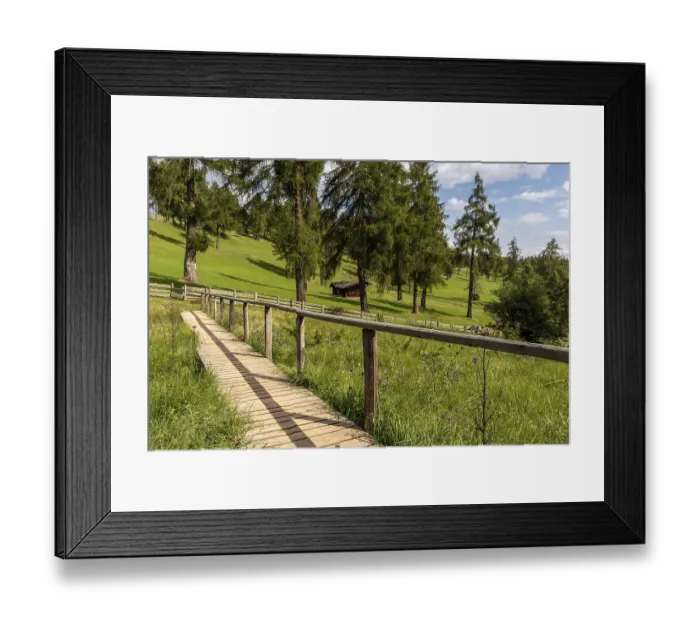 Framed Print : Wooden footbridge over meadow in the larch forest on the Salten