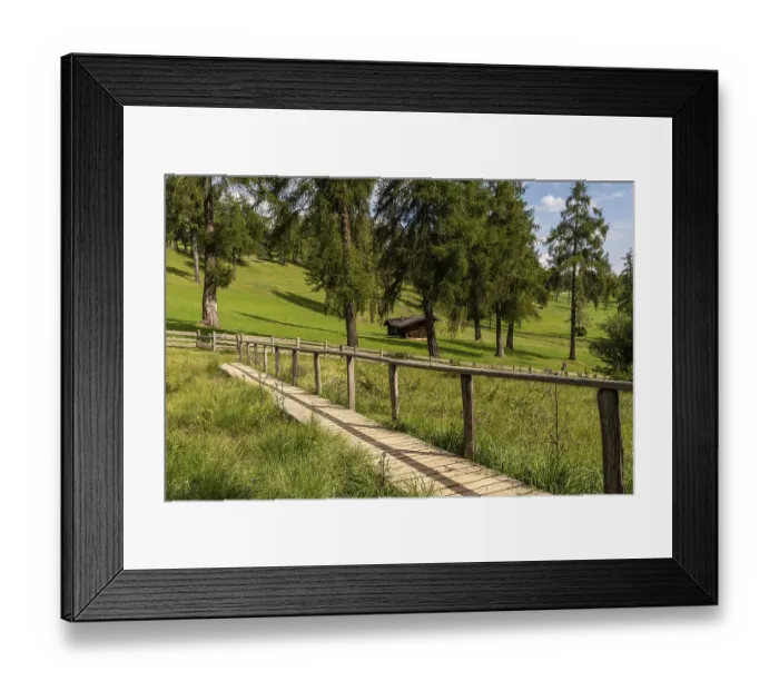 Framed Print : Wooden footbridge over meadow in the larch forest on the Salten