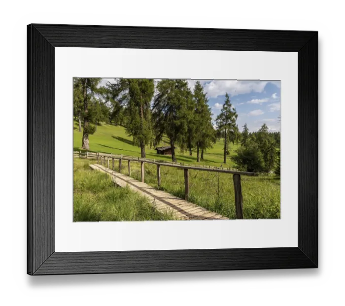 Framed Print : Wooden footbridge over meadow in the larch forest on the Salten Framed Print : Wooden footbridge over meadow in the larch forest on the Salten