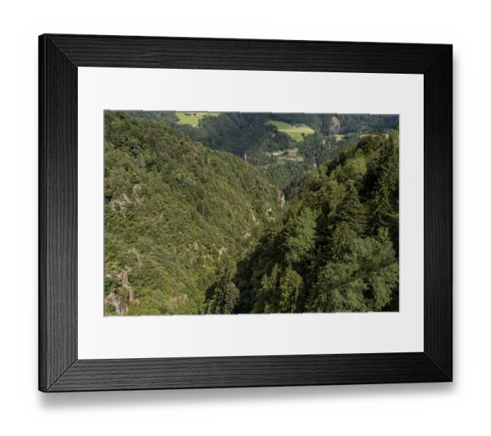 Framed Print : Bird's eye view of dense coniferous forest in a steep gorge Bird's eye view of dense coniferous forest in a steep Framed Print : Bird's eye view of dense coniferous forest in a steep gorge Bird's eye view of dense coniferous forest in a steep
