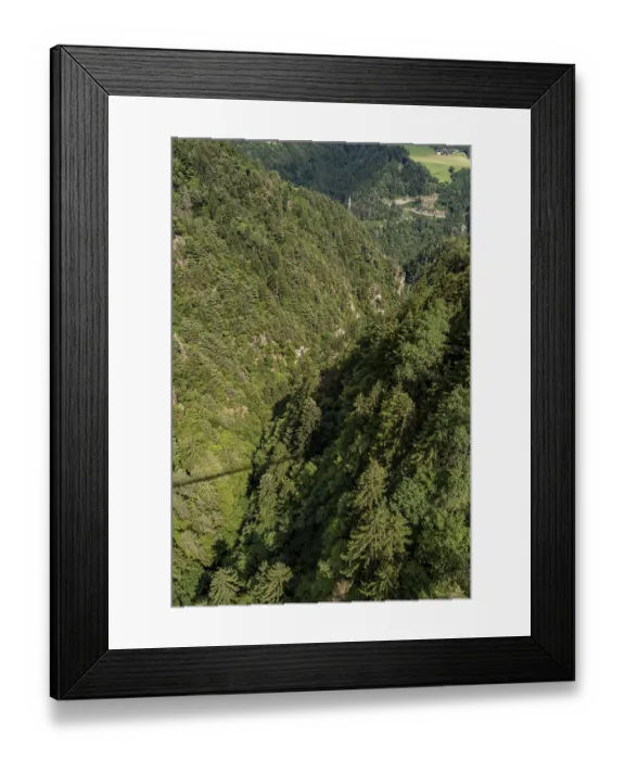 Framed Print : Bird's eye view of dense coniferous forest in a steep gorge Bird's eye view of dense coniferous forest in a steep Framed Print : Bird's eye view of dense coniferous forest in a steep gorge Bird's eye view of dense coniferous forest in a steep