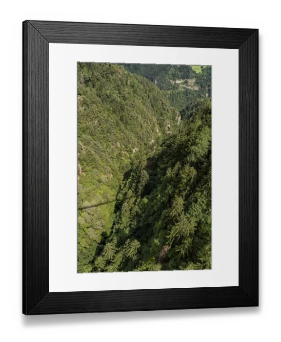 Framed Print : Bird's eye view of dense coniferous forest in a steep gorge Bird's eye view of dense coniferous forest in a steep
