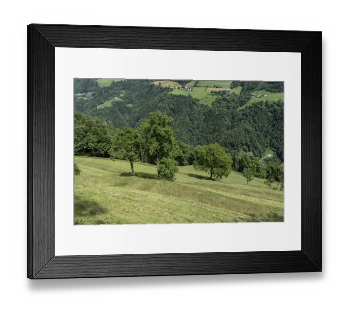 Framed Print : Green hillside meadow with individual trees and views of the valley Framed Print : Green hillside meadow with individual trees and views of the valley