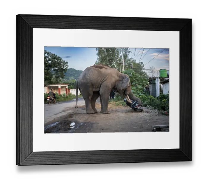 Framed Print : GUWAHATI, INDIA - AUGUST 14