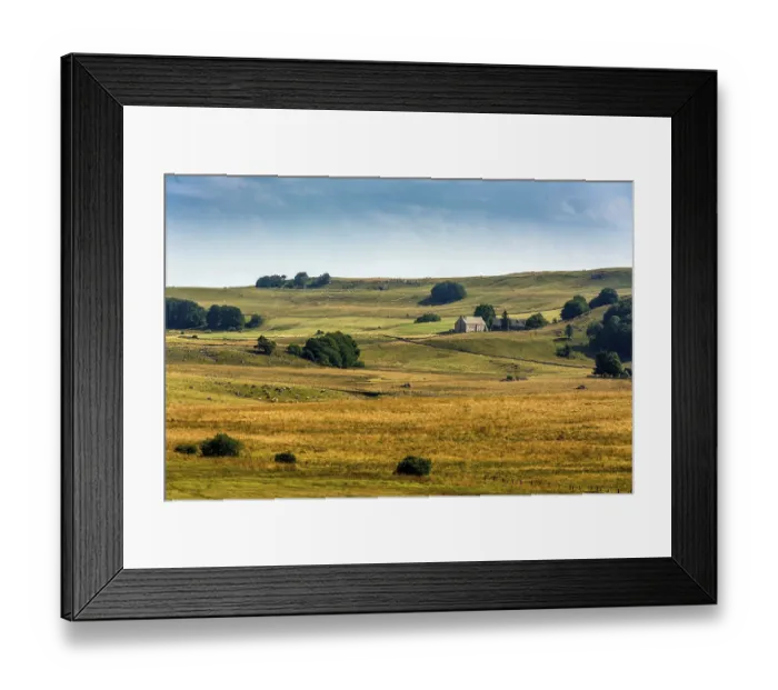 Framed Print : Lush green and golden fields extend across the landscape Framed Print : Lush green and golden fields extend across the landscape