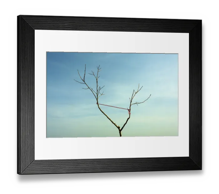 Framed Print : A lone tree with bare branches stands against a bright blue sky