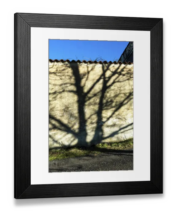 Framed Print : Long shadows of trees stretch across a textured wall