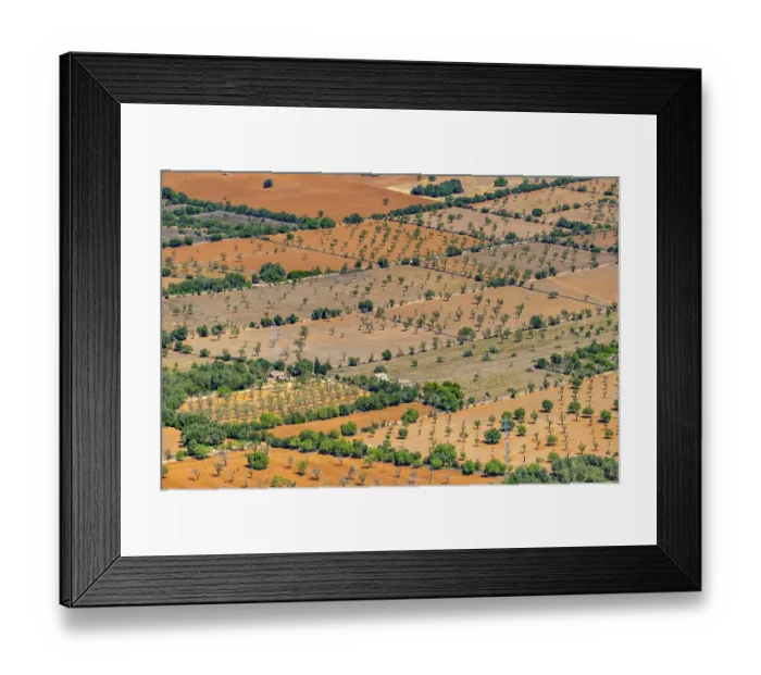 Framed Print : Aerial view, Agricultural fields with trees Framed Print : Aerial view, Agricultural fields with trees