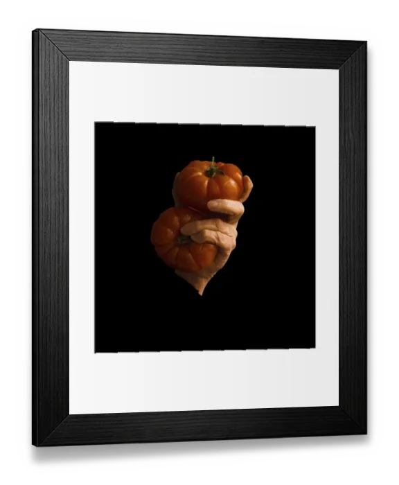 Framed Print : A hand grips two uniquely shaped orange tomatoes against a dark background