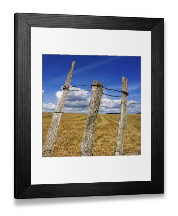 Framed Print : Three weathered wooden posts rise above a golden field Framed Print : Three weathered wooden posts rise above a golden field