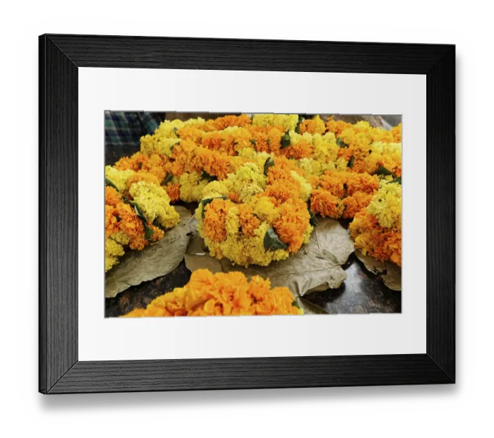 Framed Print : Colourful flower garlands of yellow and orange blossoms on a base of leaves Framed Print : Colourful flower garlands of yellow and orange blossoms on a base of leaves