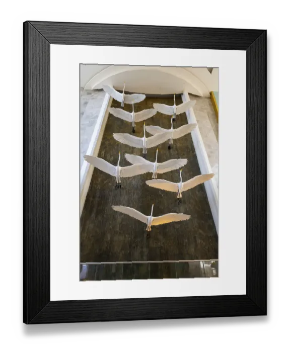 Framed Print : Installation cranes, Mall Of Quatar Framed Print : Installation cranes, Mall Of Quatar