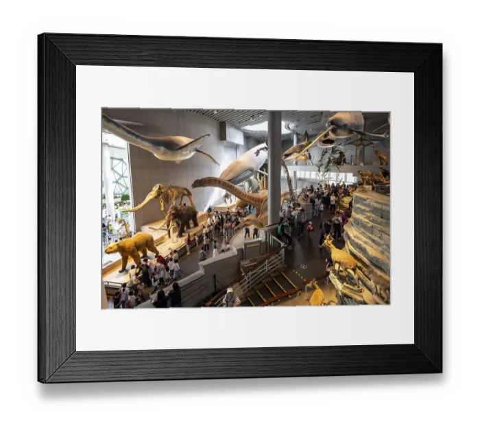 Framed Print : Exhibition, Exhibition rooms, Shanghai natural history museum Framed Print : Exhibition, Exhibition rooms, Shanghai natural history museum