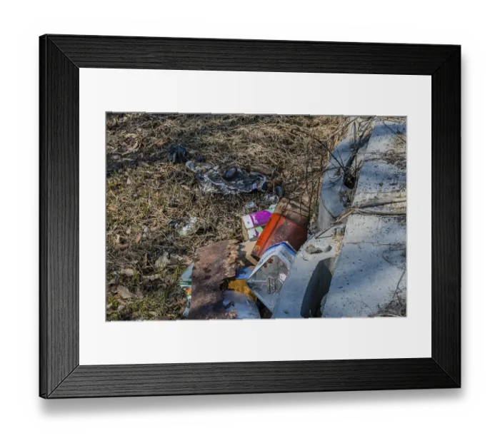 Framed Print : Daejeon, South Korea. March 6, 2020 Framed Print : Daejeon, South Korea. March 6, 2020