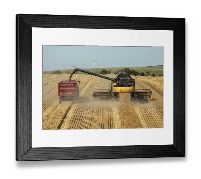 Framed Print : Combine harvester on a wheat field empties harvested barley onto a following tractor with a wagon at Ystad Framed Print : Combine harvester on a wheat field empties harvested barley onto a following tractor with a wagon at Ystad