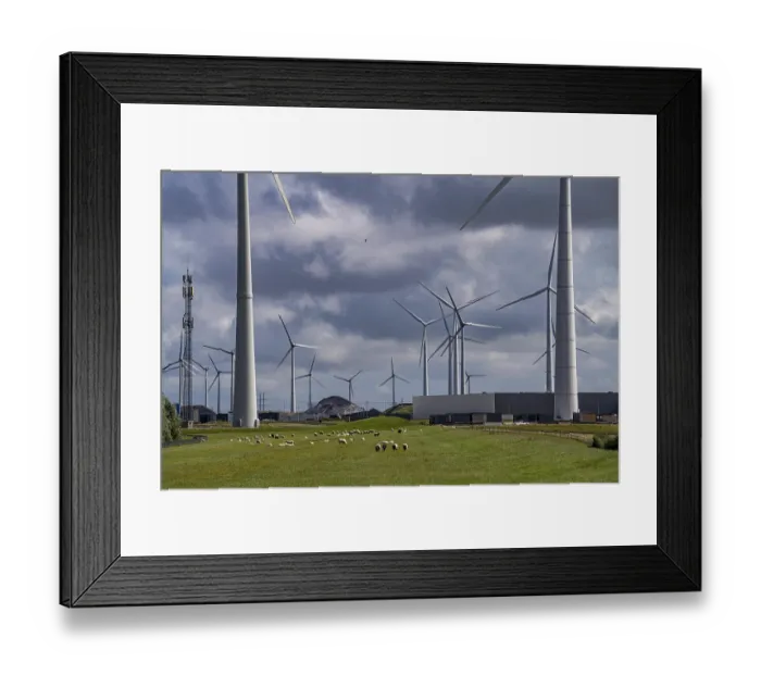Framed Print : Wind farms Westereems and Growind Framed Print : Wind farms Westereems and Growind