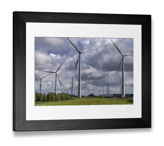 Framed Print : Wind farms Westereems and Growind Framed Print : Wind farms Westereems and Growind