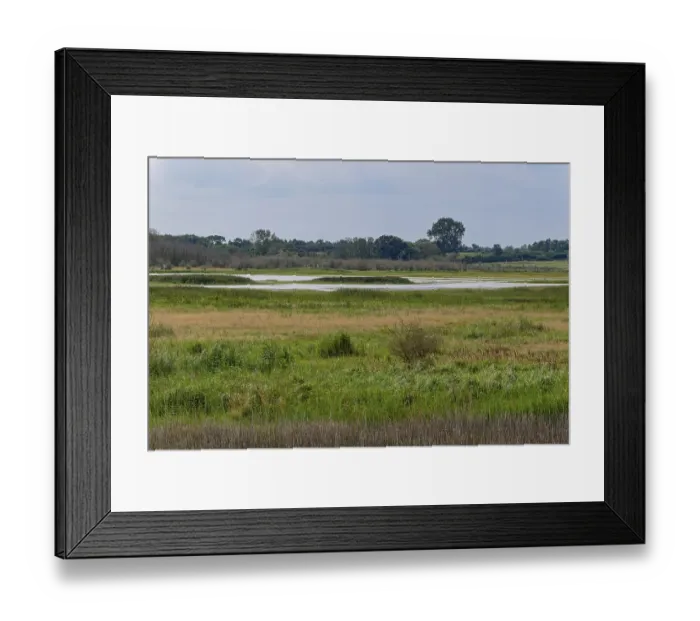 Framed Print : Heath, water areas, marshes, forests Framed Print : Heath, water areas, marshes, forests