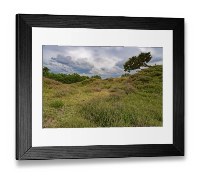 Framed Print : Ripple-crowned dune area in the Schleswig-Holstein municipality of Jorl