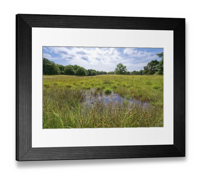 Framed Print : Raised bog in the Storkathener Heide