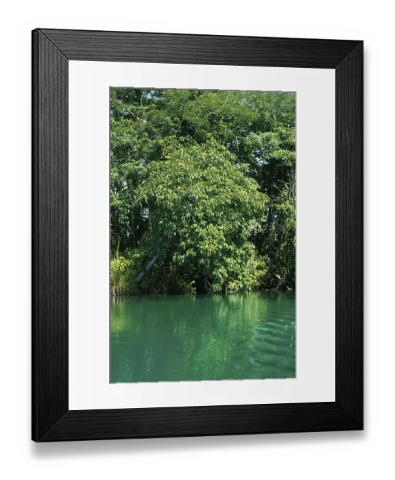 Framed Print : Lacanha Lagoone