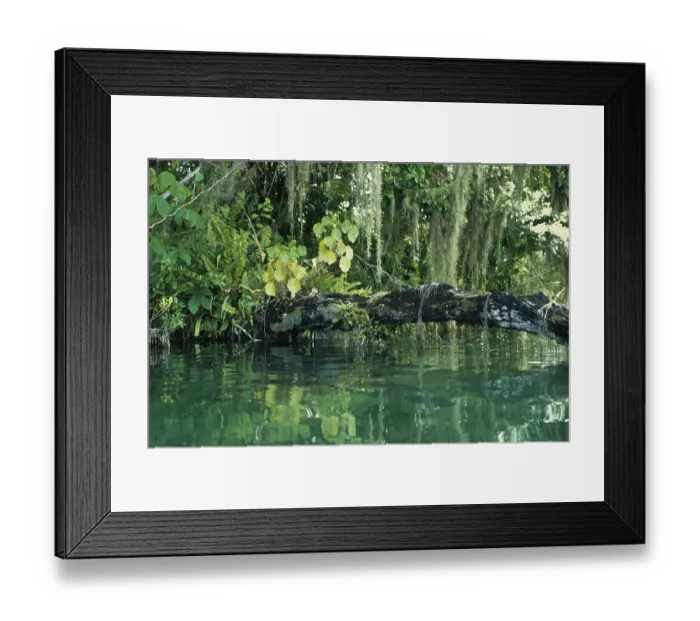 Framed Print : Lacanha Lagoone