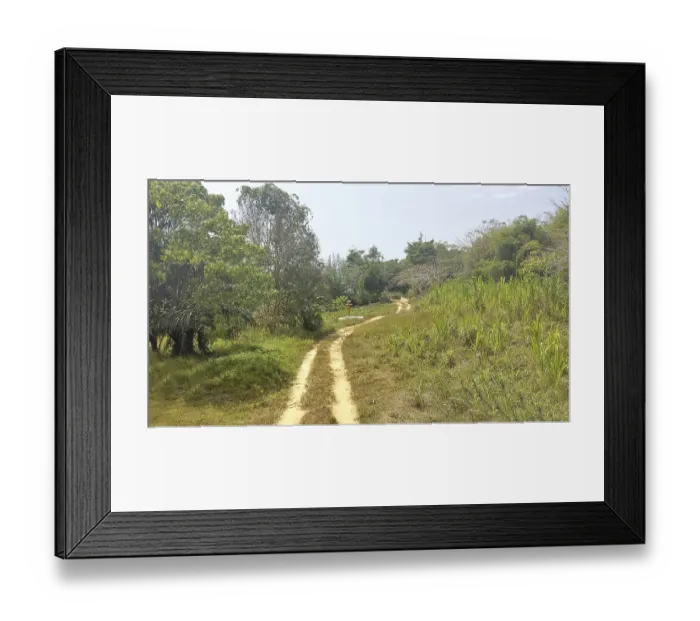 Framed Print : A road in the jungle in thailand Framed Print : A road in the jungle in thailand