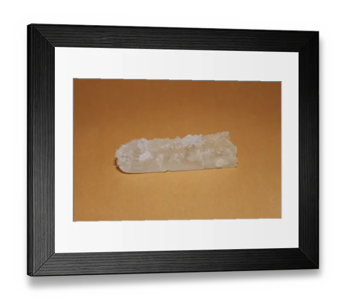Framed Print : Camphor, camphor, camphor (parent plant: Cinnamomum camphora)