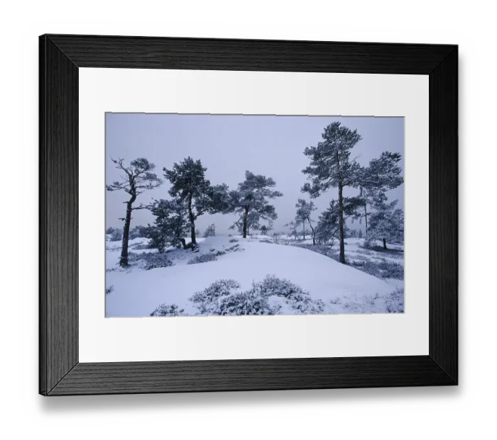 Framed Print : Snowy landscape Framed Print : Snowy landscape