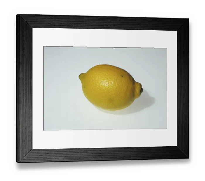 Framed Print : Lemon (Citrus limon) Framed Print : Lemon (Citrus limon)