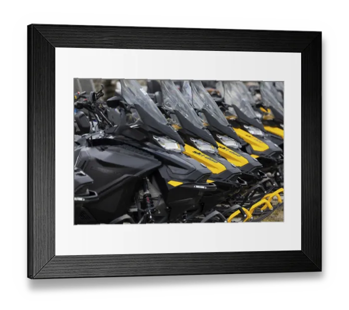 Framed Print : Sikdoos in a row, Longyearbyen Framed Print : Sikdoos in a row, Longyearbyen