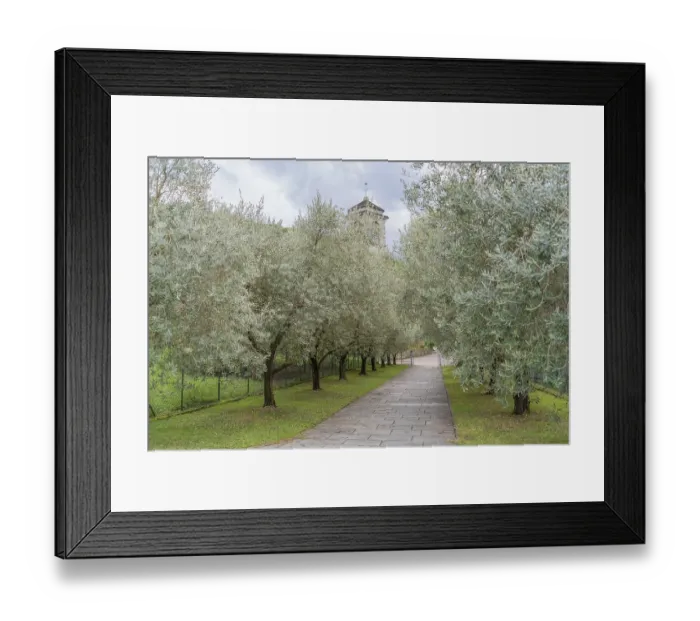 Framed Print : Impression around the Piona Priory or Piona Abbey