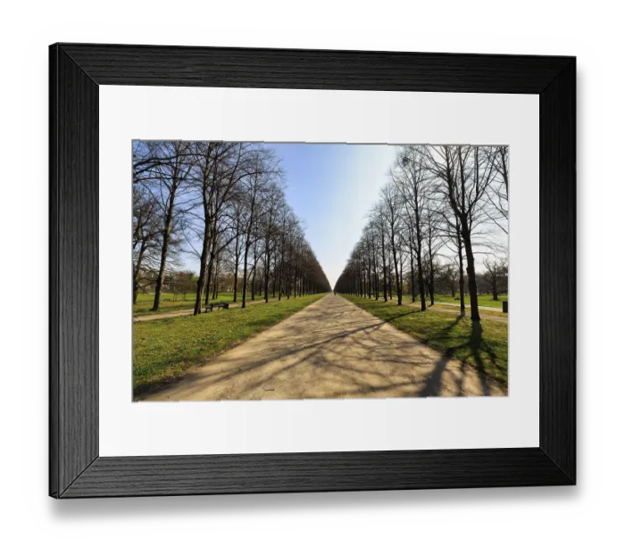 Framed Print : Walkers in the lime tree avenue