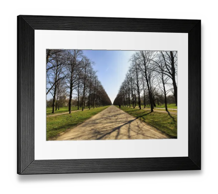 Framed Print : Walkers in the lime tree avenue