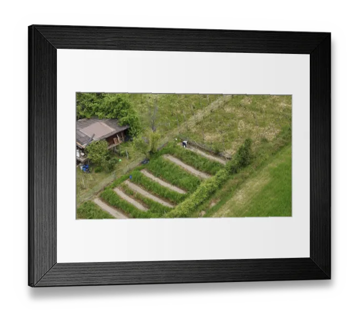Framed Print : Aerial view of a farmer working in a terraced field near a rural house Framed Print : Aerial view of a farmer working in a terraced field near a rural house