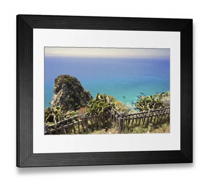 Framed Print : Cactus landscape with views of cliffs and the wide blue sea