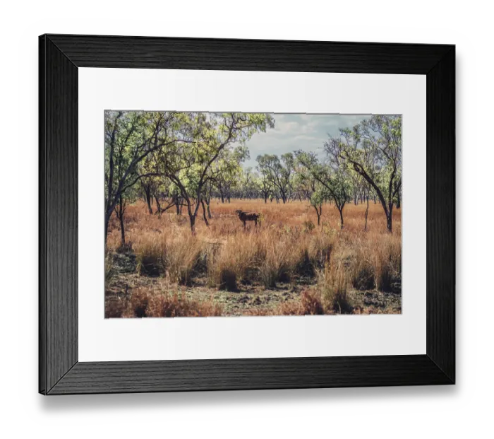 Framed Print : Outback Scenes Australia